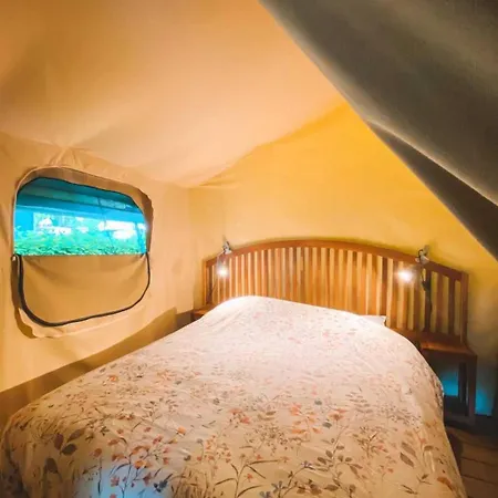 3 Etoiles - Piscine - Ccbbbf0 Surgères