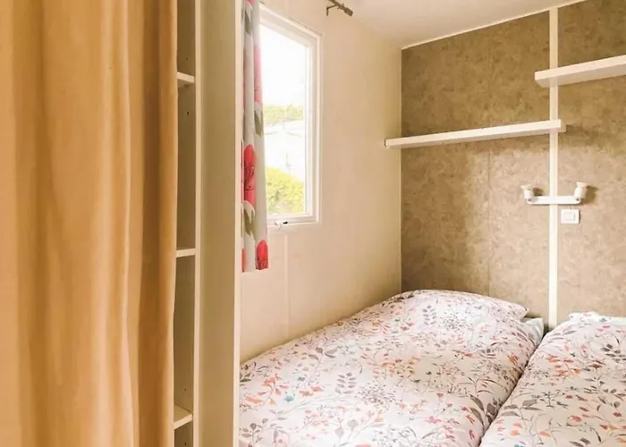 3 étoiles - Piscine - Ccbbbf0 Camping Surgères