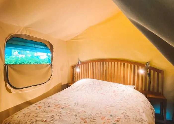 3 étoiles - Piscine - Ccbbbf0 Surgères