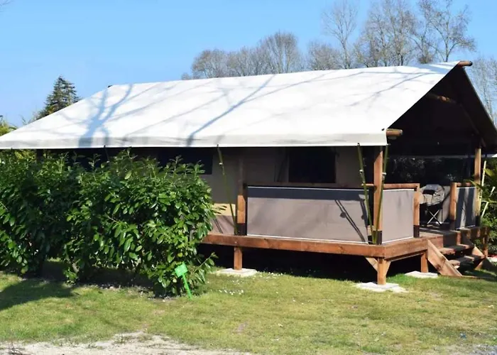 3 étoiles - Piscine - Ccbbbf0 Camping Surgères