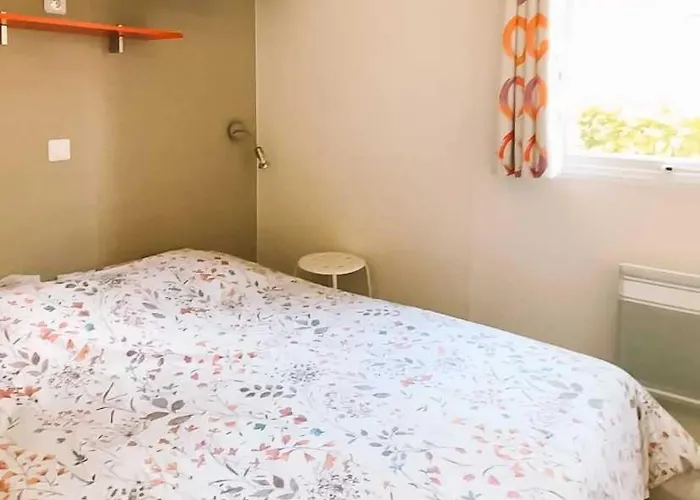 3 étoiles - Piscine - Ccbbbf0 Camping Surgères